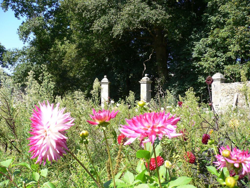 Chateau De La Marronniere Bed and Breakfast Aizenay Exterior foto